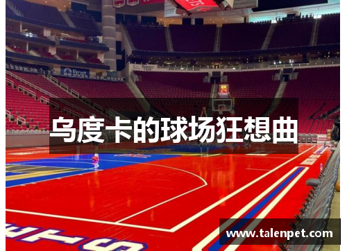 乌度卡的球场狂想曲