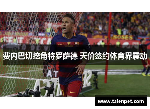 费内巴切挖角特罗萨德 天价签约体育界震动