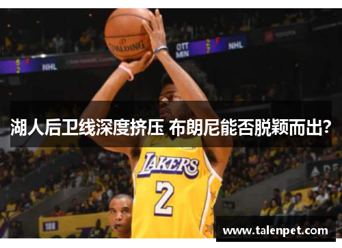 湖人后卫线深度挤压 布朗尼能否脱颖而出？