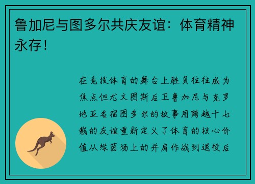 鲁加尼与图多尔共庆友谊：体育精神永存！